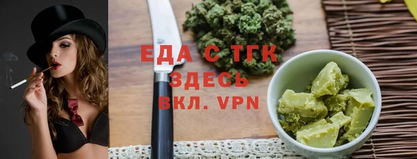 индика Алексин