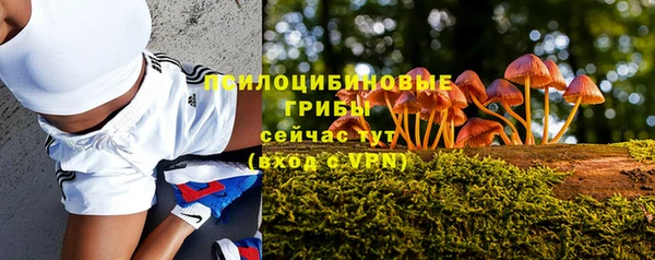 скорость Абаза