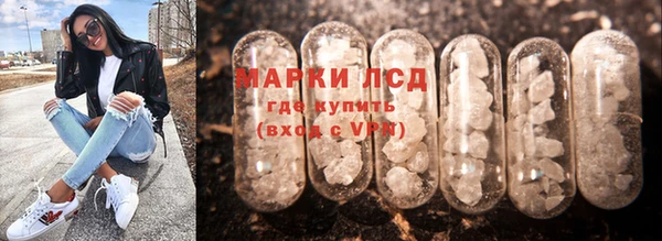 хмурый Алзамай