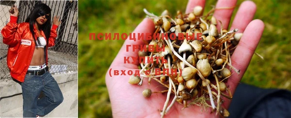 спиды Абинск