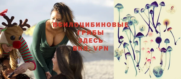 спиды Абинск