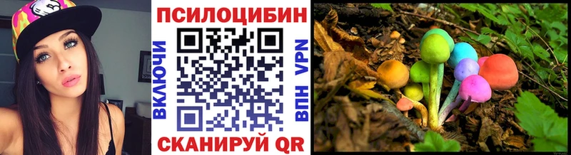 Галлюциногенные грибы Magic Shrooms  где купить наркотик  Щёкино 